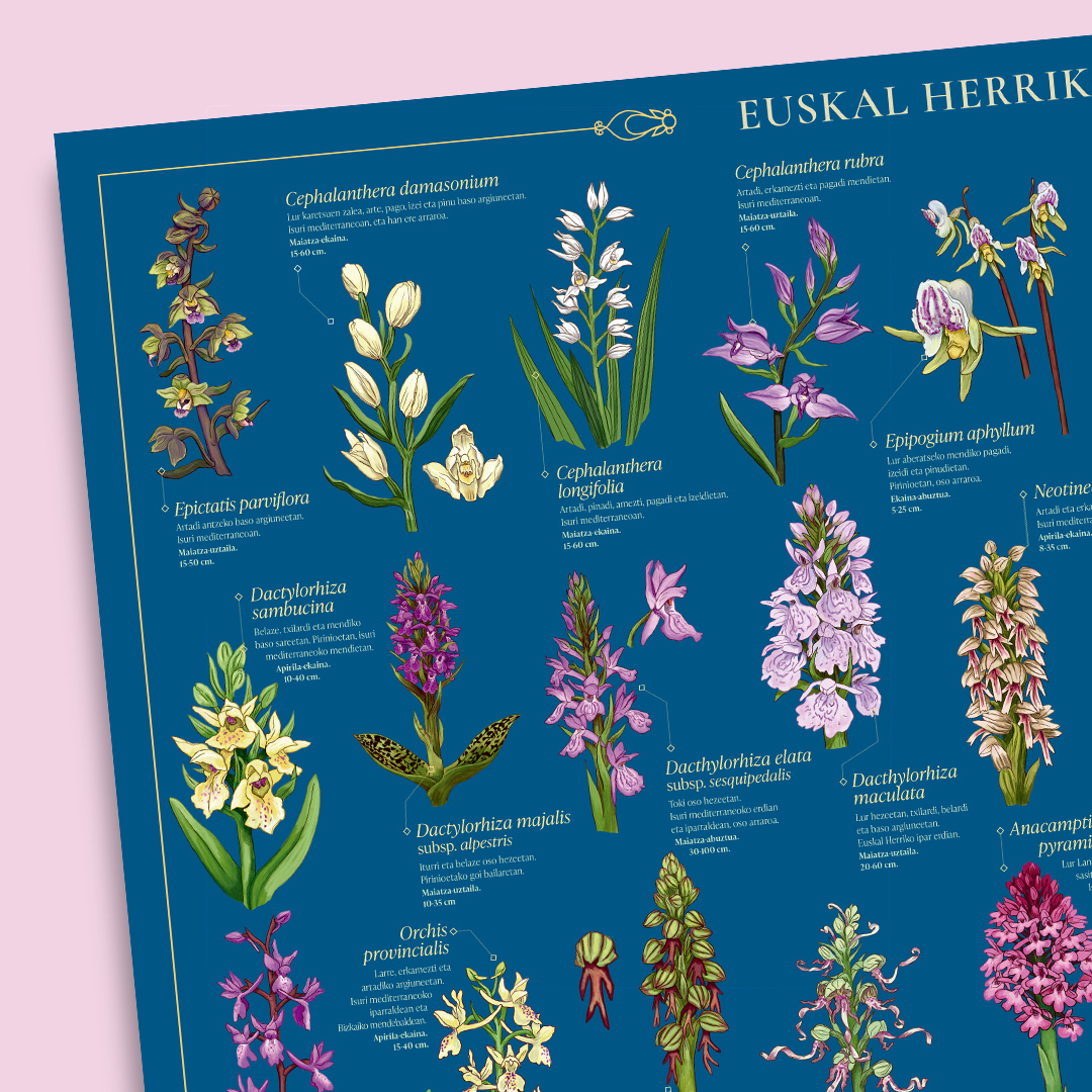 Bizi Baratzea Orria 5: 2026ko Udaberria - Irudia 2