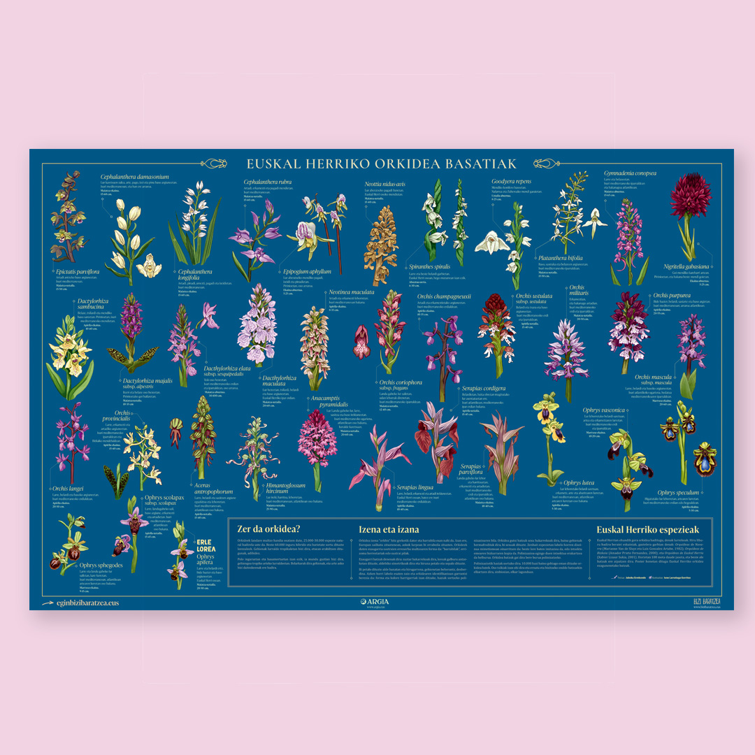 Bizi Baratzea Orria 5: 2026ko Udaberria - Irudia 3