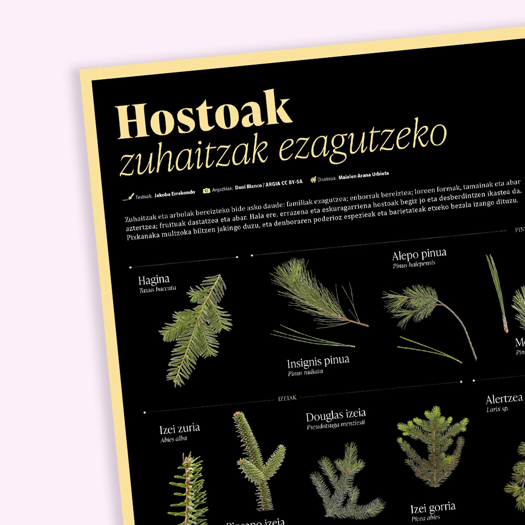 Bizi Baratzea Orria 7: 2026ko Udazkena - Irudia 2